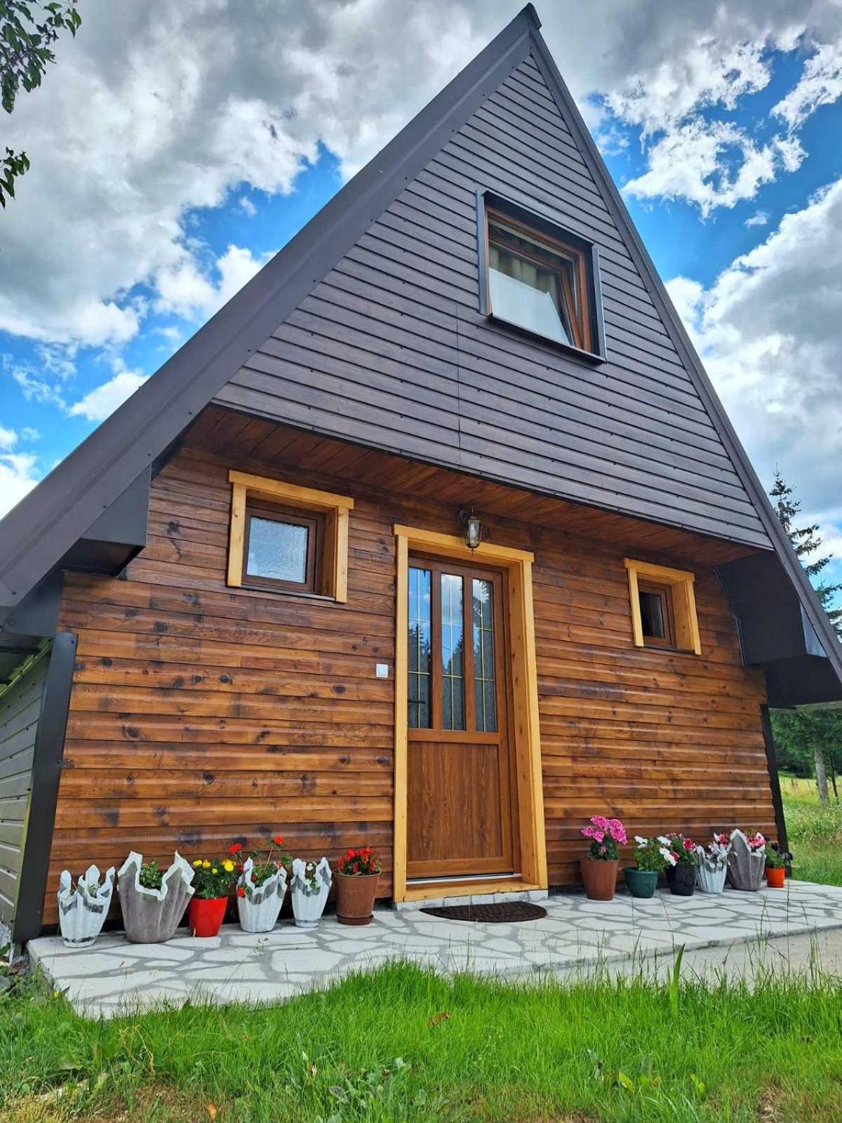 Villa House Bojana à Žabljak Extérieur photo