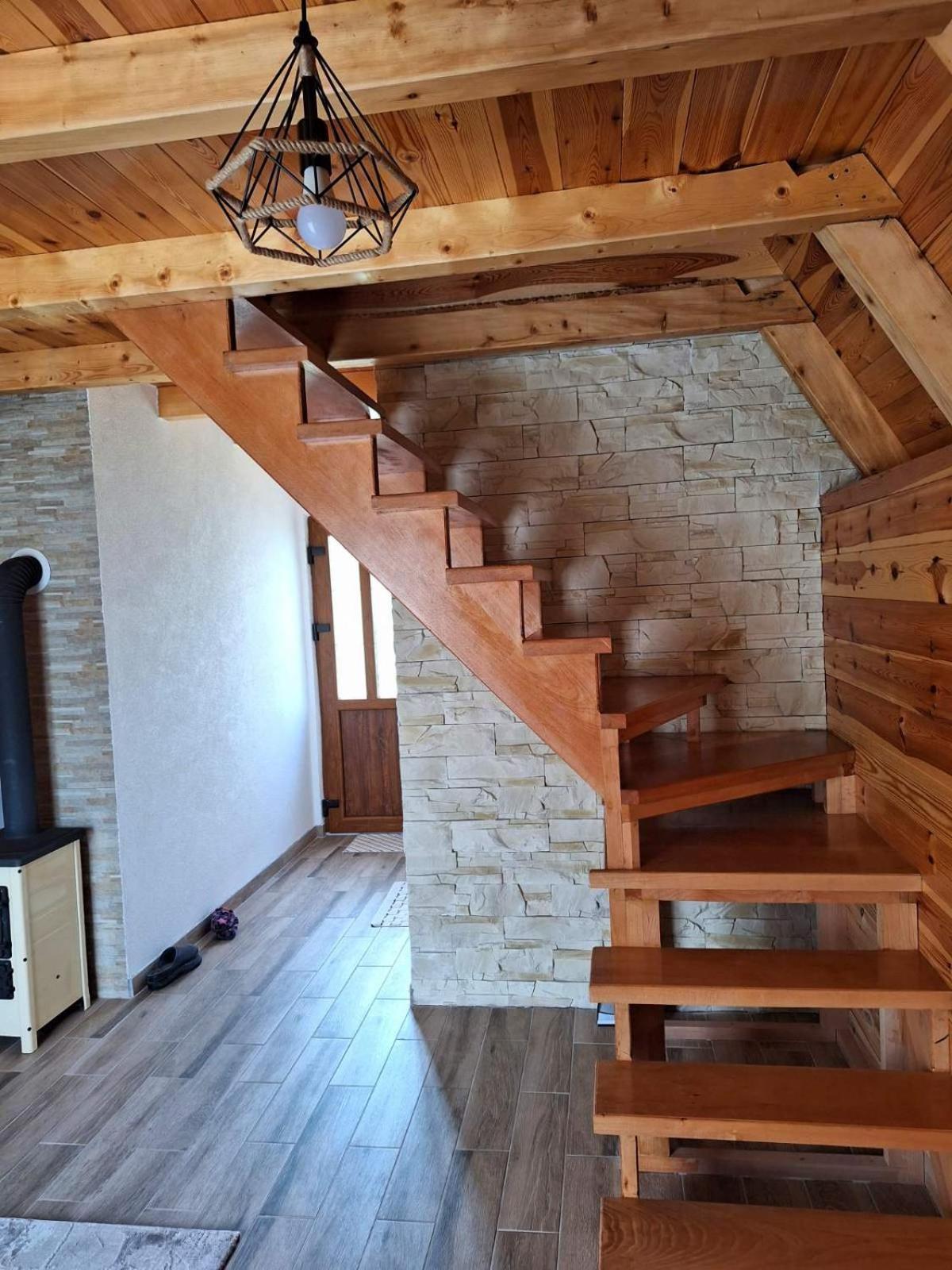 Villa House Bojana à Žabljak Extérieur photo